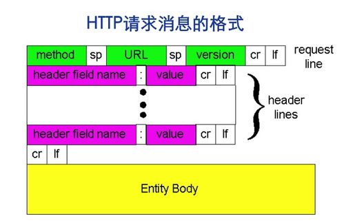 計算機網絡應用與軟件簡介